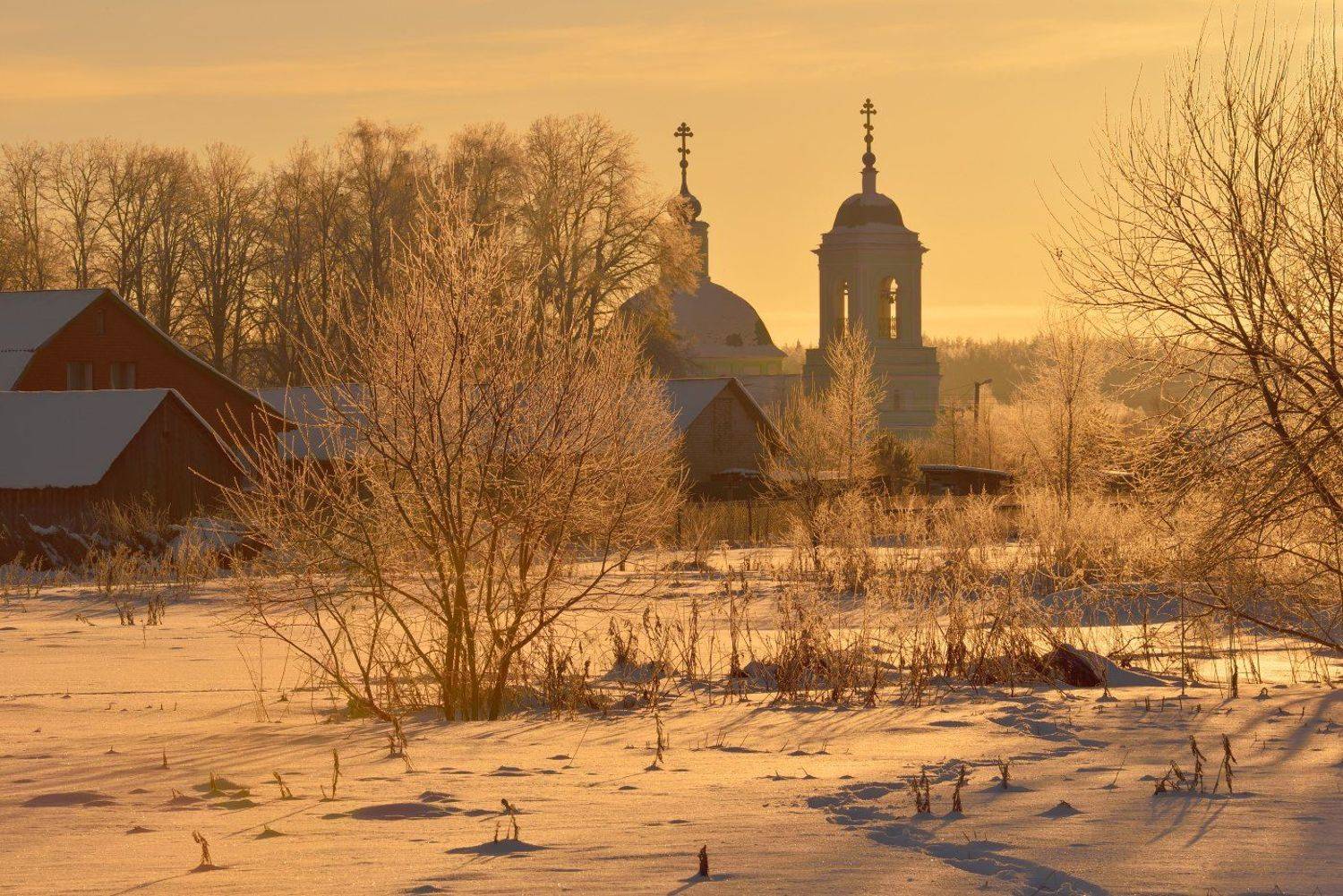 ***. Автор: Максим Евдокимов Рязанцы, Максим Евдокимов