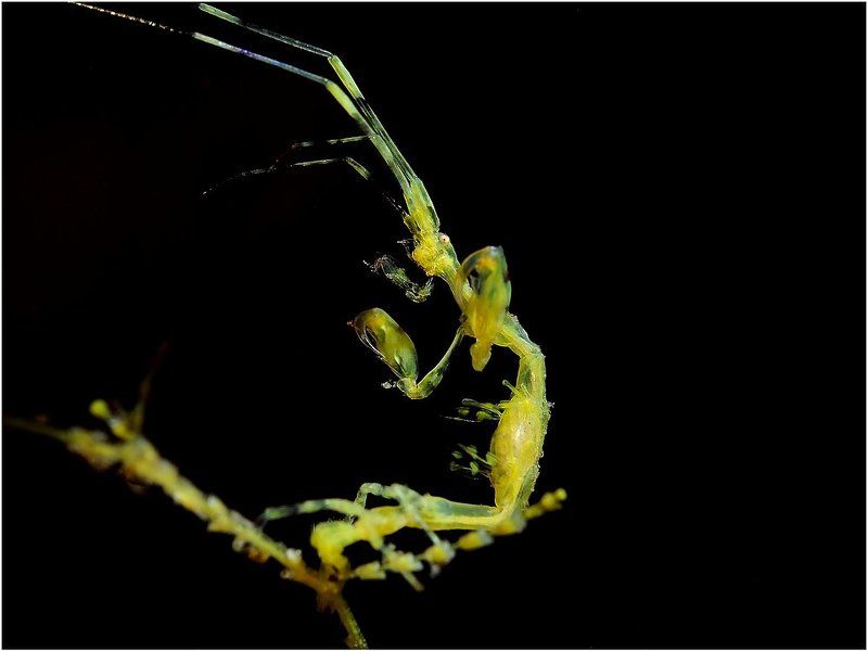 Брейкдэнсphoto preview