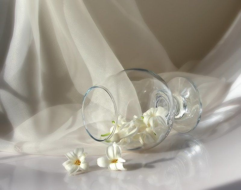 Какая тишина и радость в белом цвете...photo preview