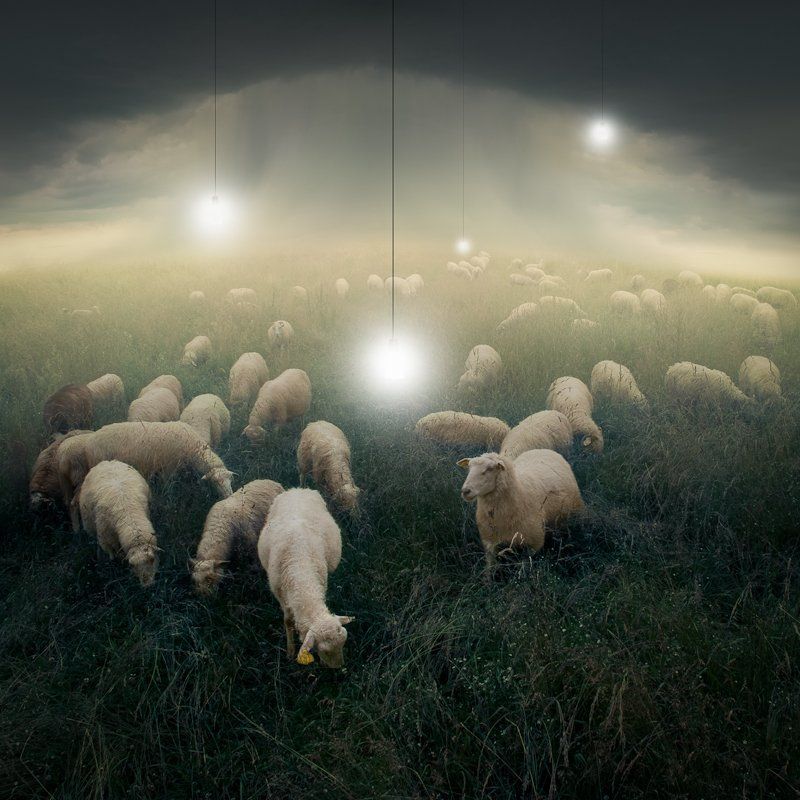 ABOUT US I.photo preview