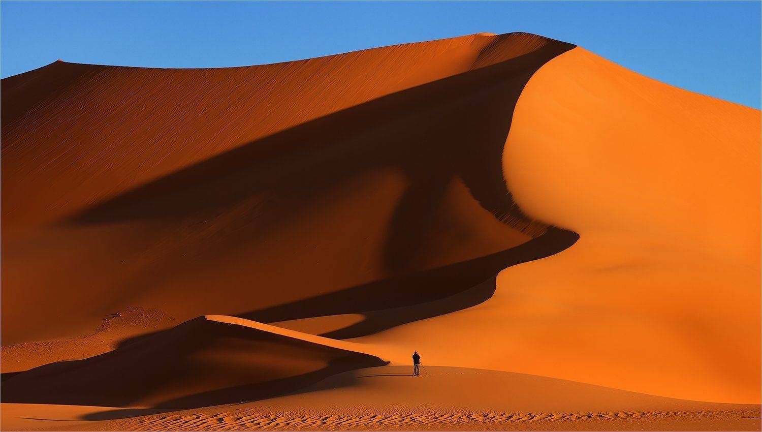 Один на один. Автор: Yury Pustovoy (artphoto-tour.com) сахара, алжир, Yury Pustovoy (artphoto-tour.com)