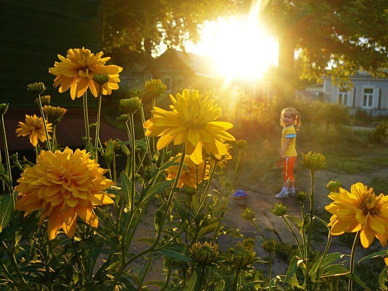 солнечное детствоphoto preview