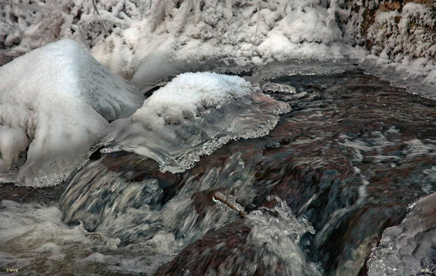 ледяные "медузки". Автор: normiks , normiks