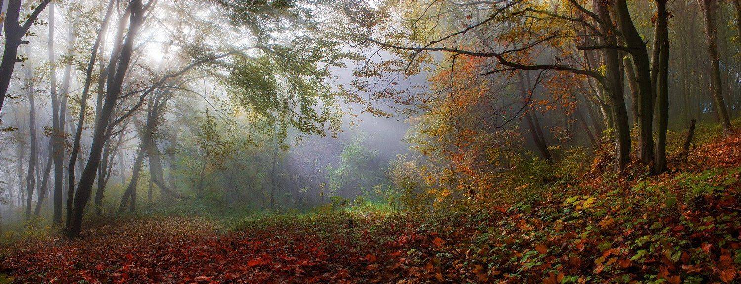 , Wolodymer Mjaskowskuj