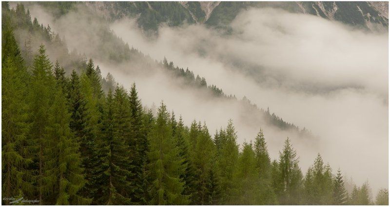 Тирольphoto preview