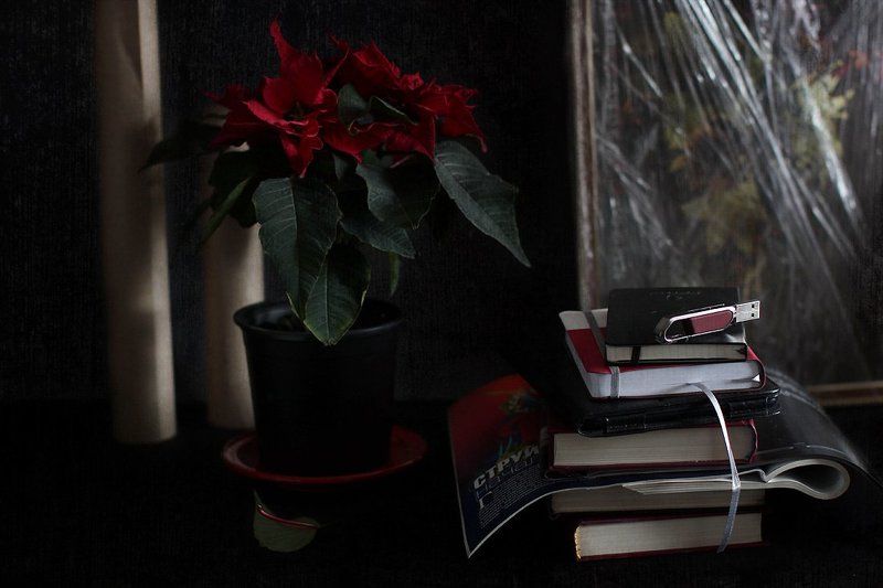 натюрморт О красках, или Жизнь в цветеphoto preview