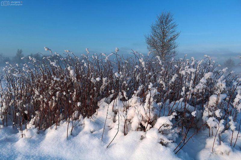 Blue, Daylight, Estonia, Frost, Jevgeni, Kurnikov, Light, Season, Sun, Winter Туманно Морозный зимний деньphoto preview