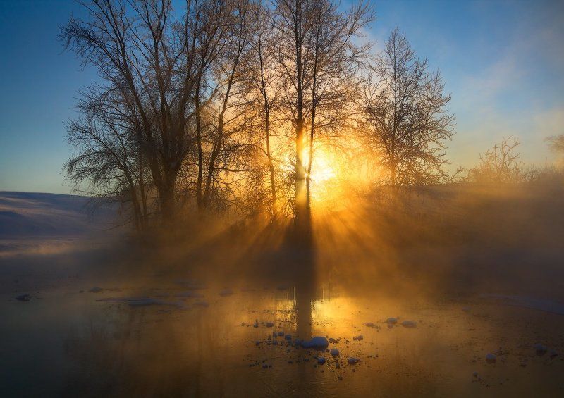 Вечерний свет.photo preview