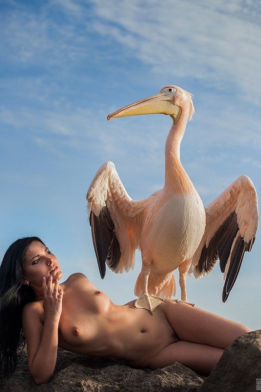 ню, чира ковальски, художественная эротика, пеликан Розовый пеликанphoto preview