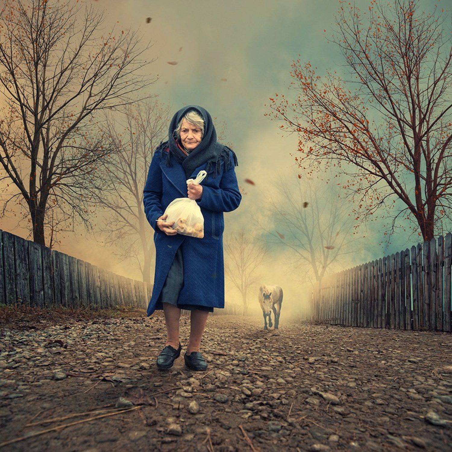 The follower. Автор: Caras Ionut boy, cliff, cloth, clouds, dream, fence, field, flower, flying, freedom, ground, high, leaf, light, manipulation, old, photoshop, psd, rainbow, rocks, sky, tree, tutorials, wood, Caras Ionut