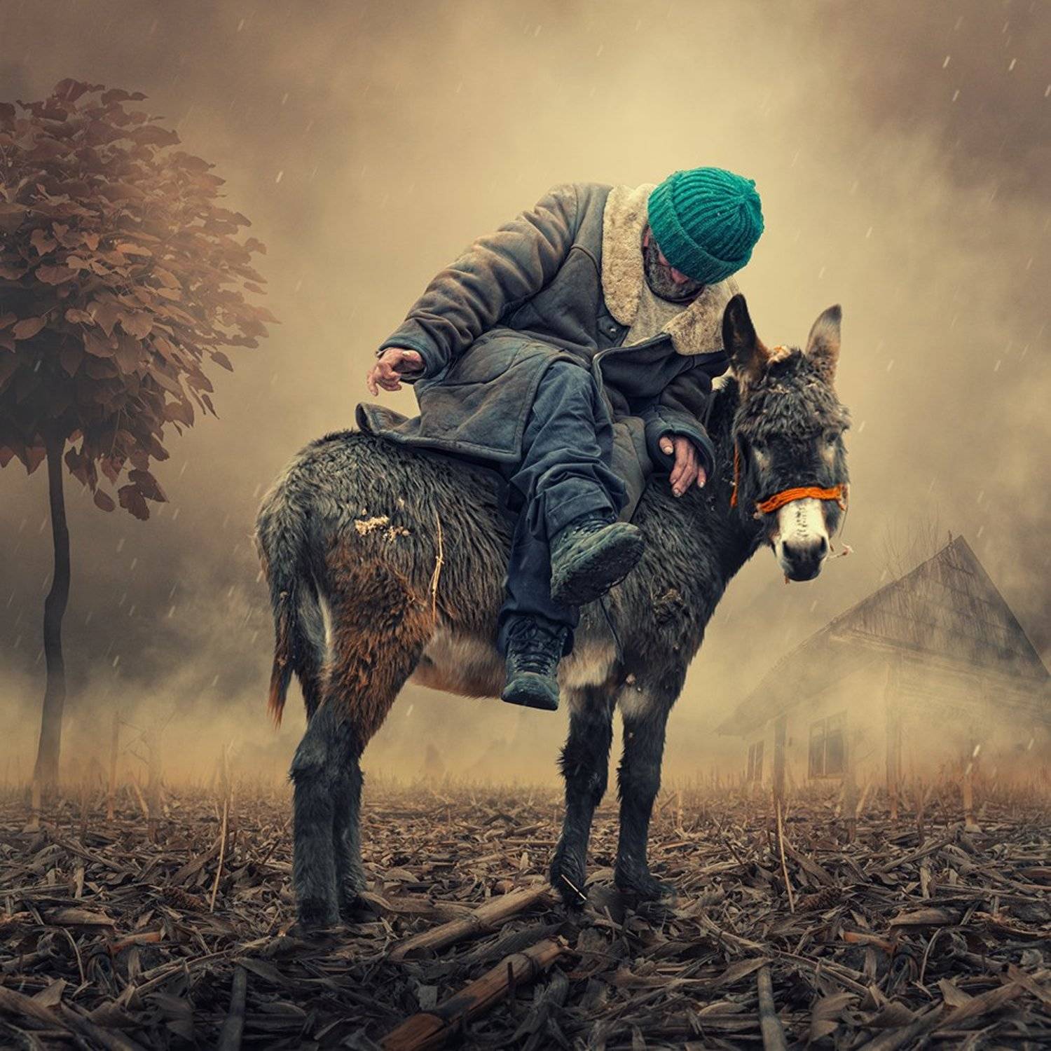 The drunken master. Автор: Caras Ionut black, dunkey, fantastic, flowers, fog, ground, man, manipulation, mystery, old, psd, rung, smoke, tutorials, walking, wings, Caras Ionut
