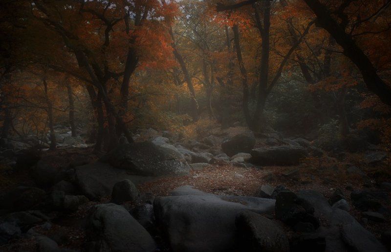 В паркеphoto preview