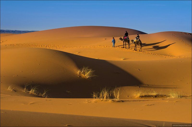 Morocco Стандартное фото из Мароккоphoto preview