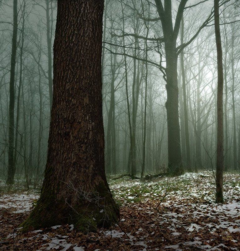 Первоснежьеphoto preview