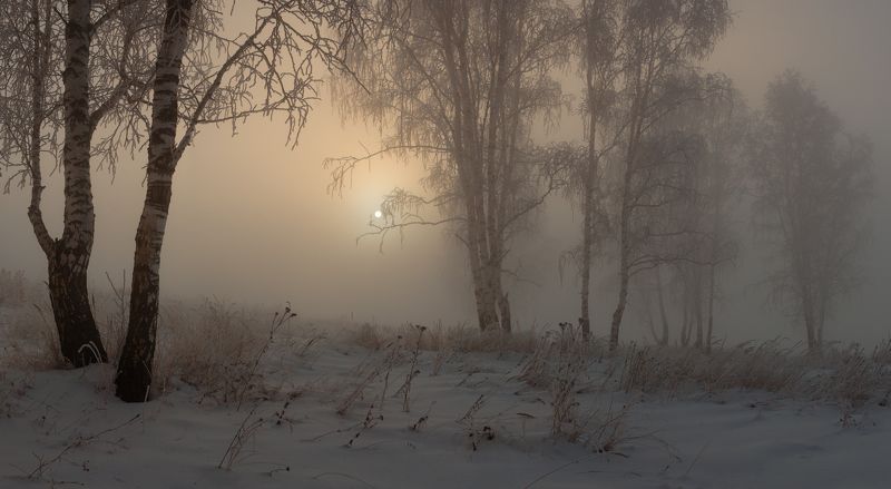 Я очень люблю пасмурные дни, - сказал Ежик. - Солнышко тускло светит, и так туманно- туманно... фото превью