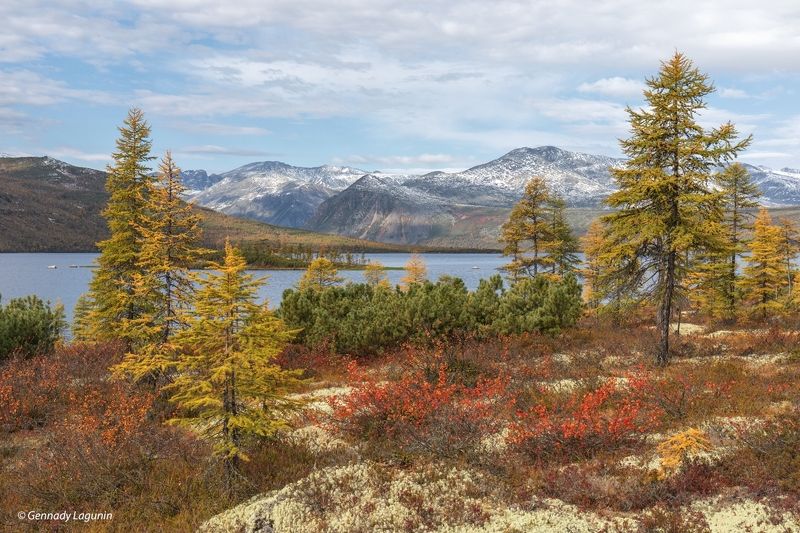 колыма, осень, autumn Прогулка в осеньphoto preview