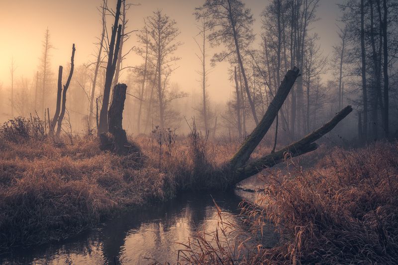 Wild riverphoto preview