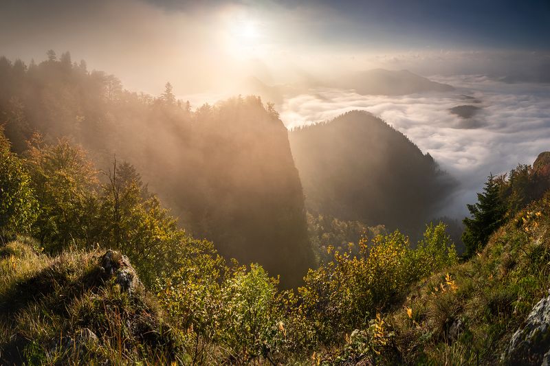 mountains, autumn, poland, sunrise Morning in the Mountainsphoto preview