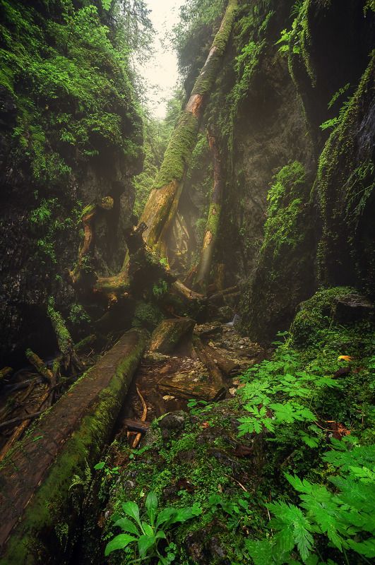 Slovakia paradise IVphoto preview