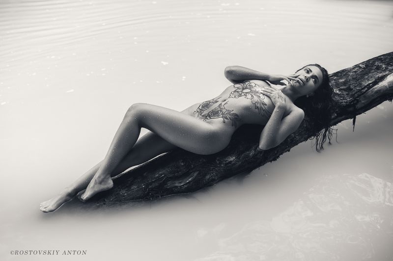 Ню, Сочи, девушка, вода, река, лес,  Упражнения на бревнеphoto preview