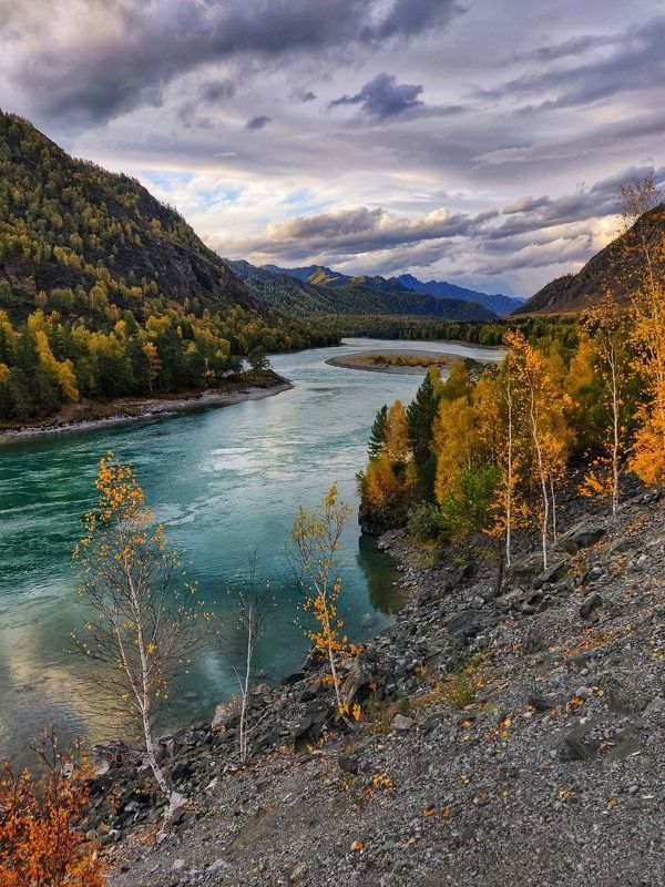 алтай, чемал, барнаул, горно-алтайск, бийск, вода, реки Алтайphoto preview