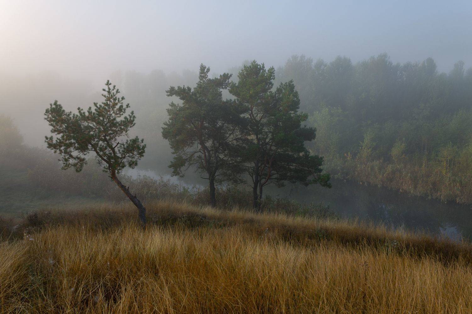 . . .. Автор: Alexey Argentum , Alexey Argentum