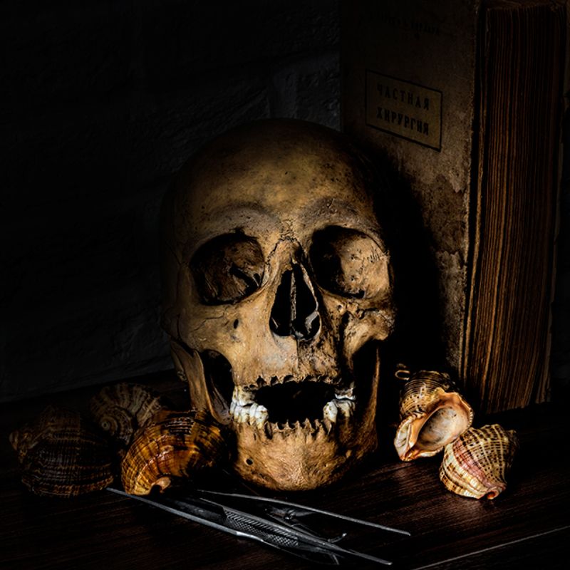 Натюрморт в стиле ванитасphoto preview