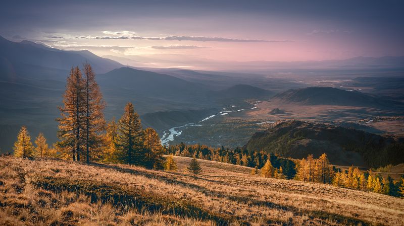 пейзаж, природа, осень, рассвет, утро, алтай, горы, степь, восход, чуя, река, сибирь, желтый, розовый, панорама Чуйская степь в осенних краскахphoto preview