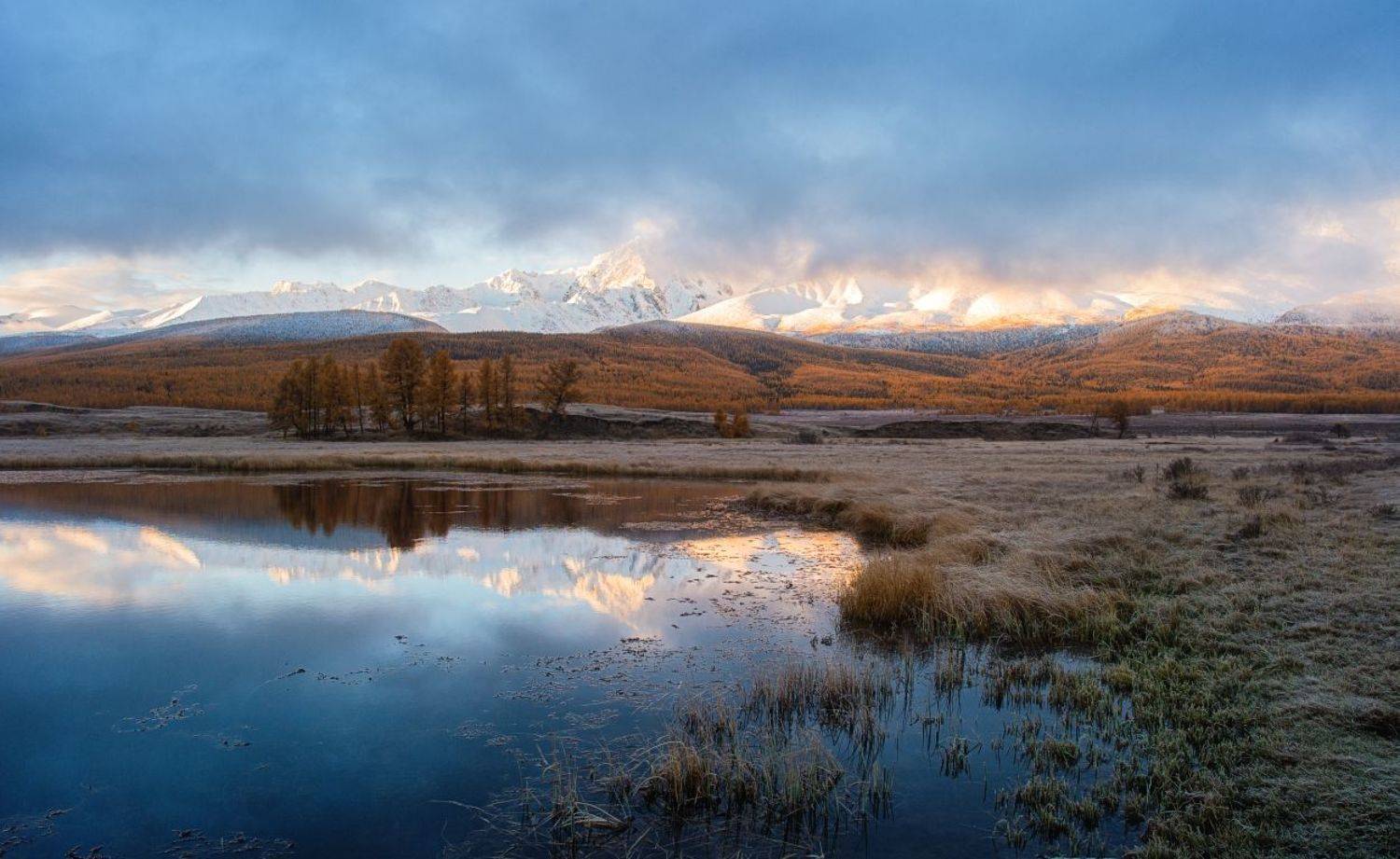 .... Автор: Толмачев Дмитрий , Толмачев Дмитрий