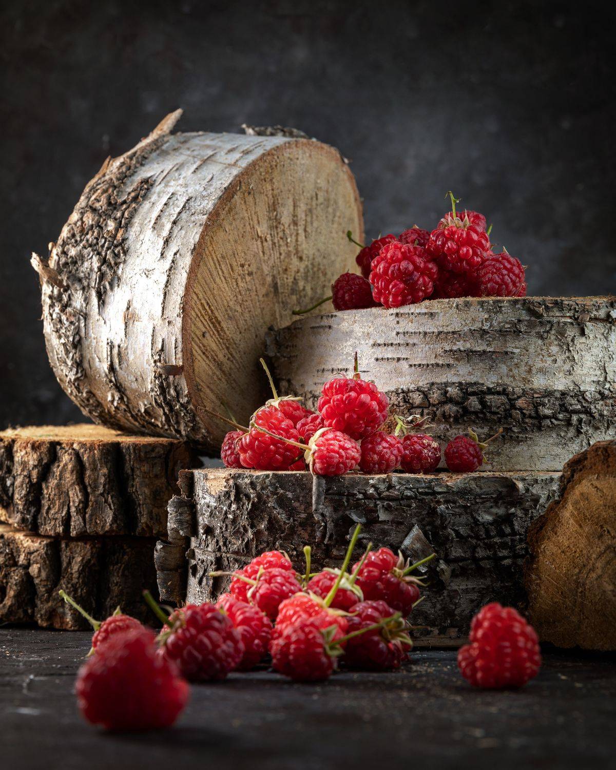 , Дмитрий Герц