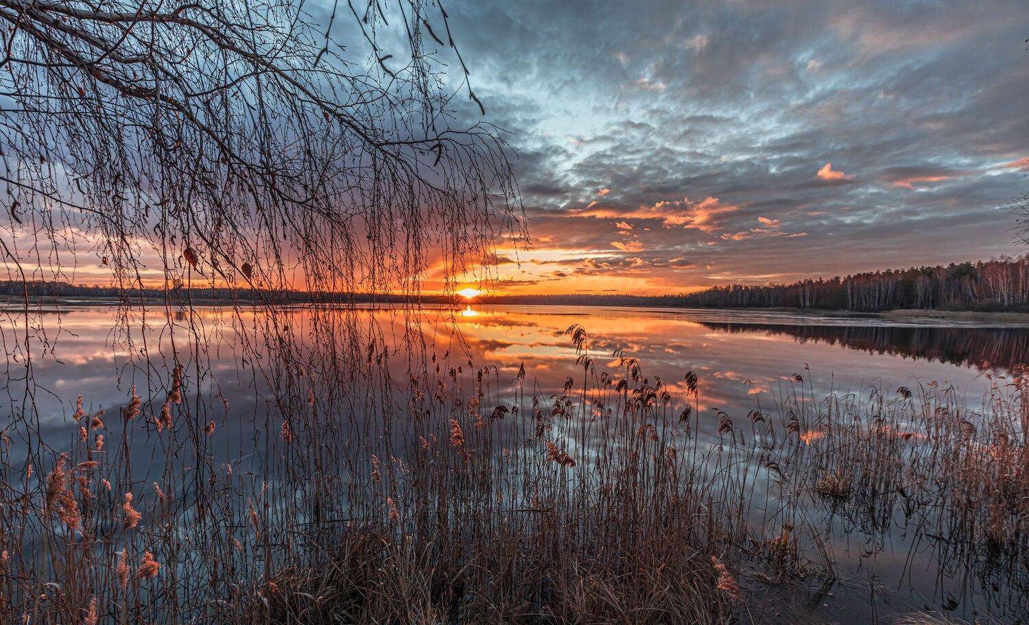 Весенний рассвет. Автор: Евгений Патрешов , Евгений Патрешов