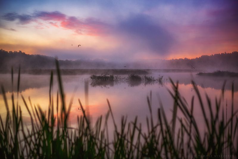 landscape, poland, light, summer, awesome, amazing, sunrise, sunset, lovely, nature, travel, forest, pond, lake, light, colors, silence Silencephoto preview