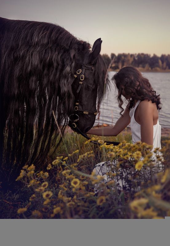 фриз портрет рассвет природа цветы вдвоемphoto preview