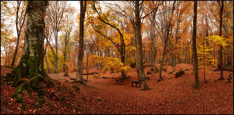Осень на Андрюхиной поляне фото превью