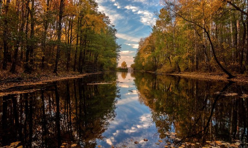 пейзаж, осень, заказник, вечер, вода, небо, отражение Осенний вечер фото превью