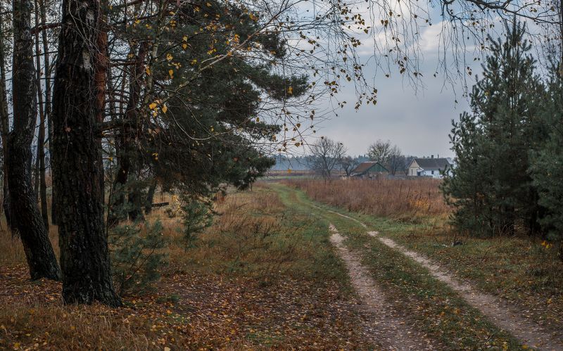 ноябрьская прогулка...photo preview