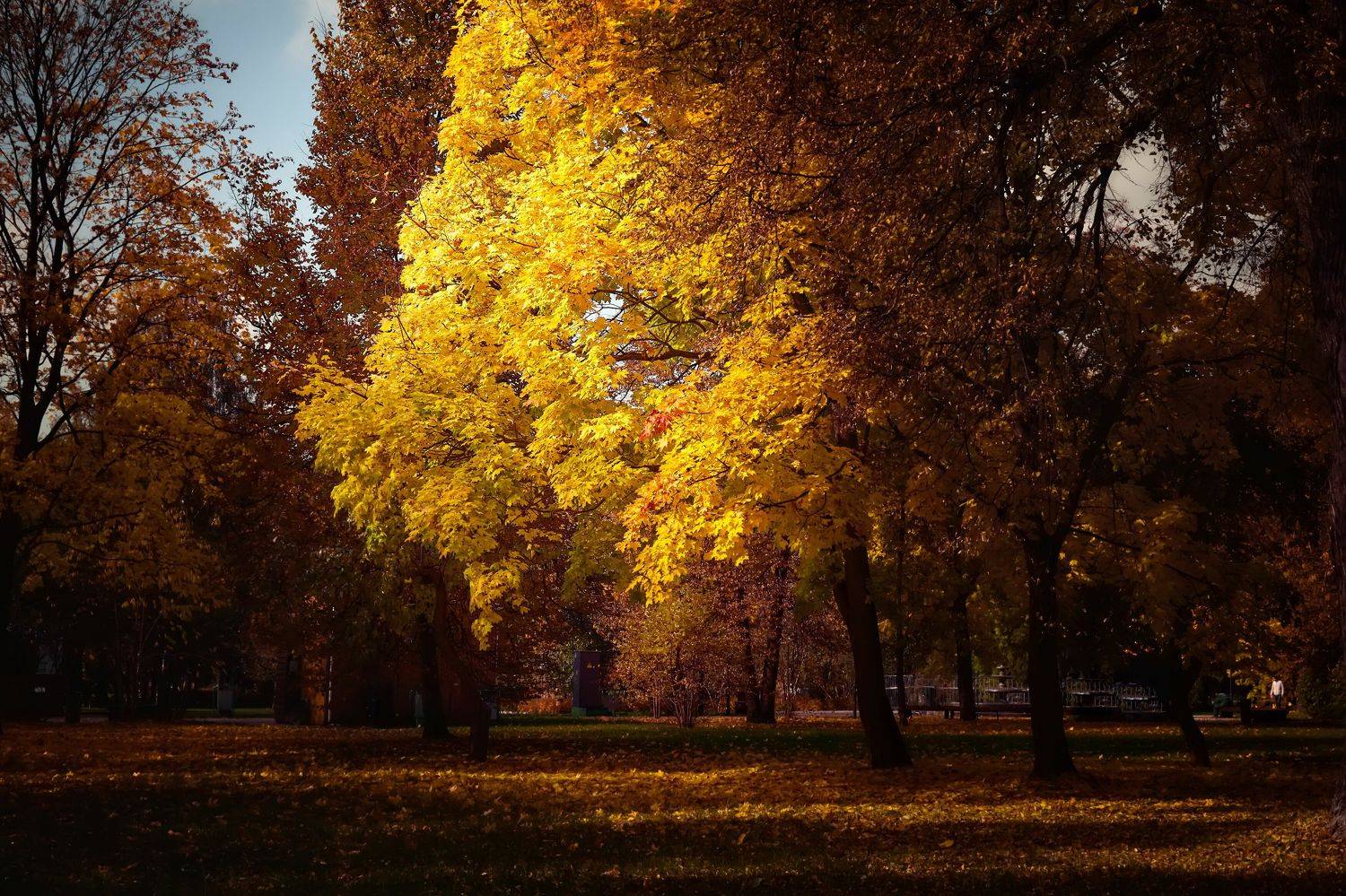 осенний парк. Автор: Булатов Дмитрий , Булатов Дмитрий