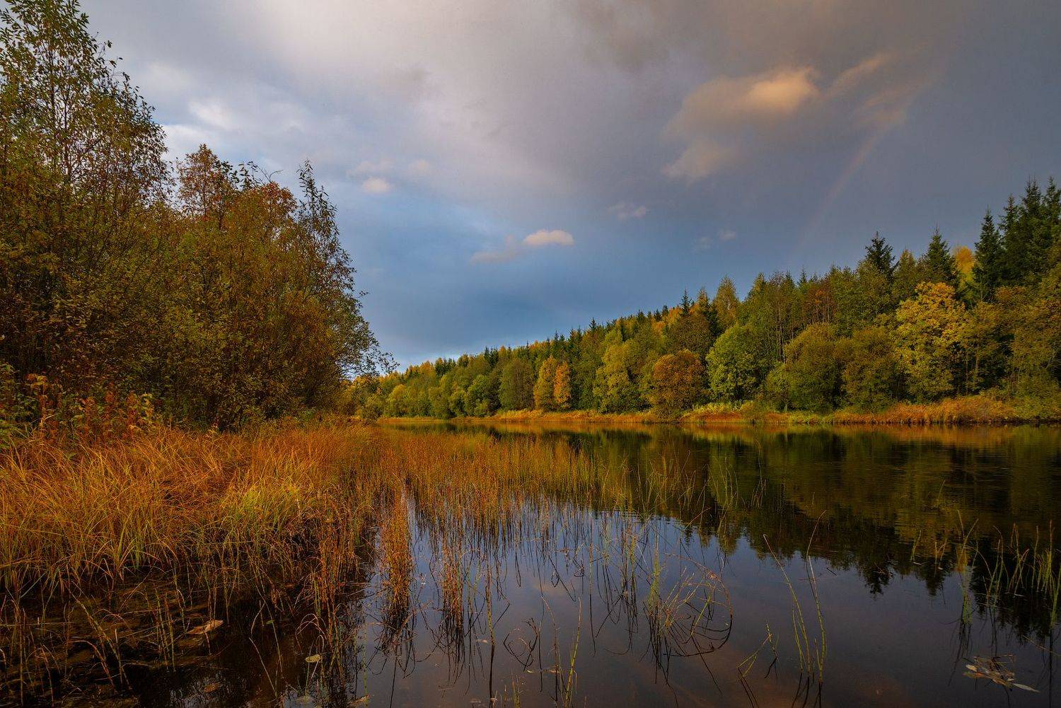 великий двор,вологодчина,кема,север, Роман Горячий