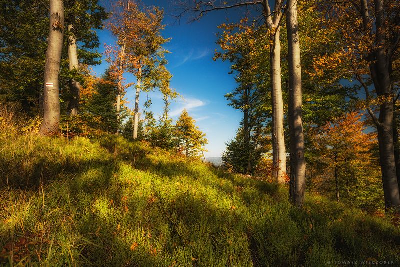 landscape, poland, light, autumn, awesome, amazing, sunrise, sunset, lovely, nature, travel, forest, trees, light, mountains Autumn colorsphoto preview
