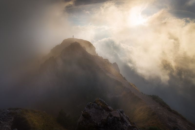 On the way to the lightphoto preview