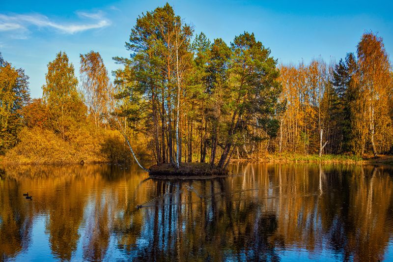 Осень. Борки.photo preview