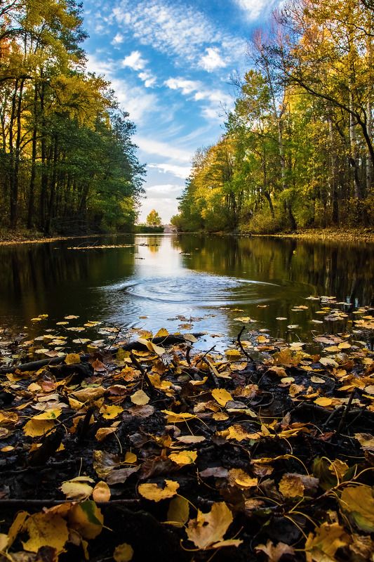 пейзаж, осень, заказник, вечер, вода, небо, отражение Короткая осенняя красота фото превью