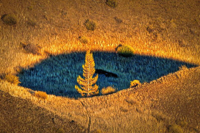 Осеньphoto preview