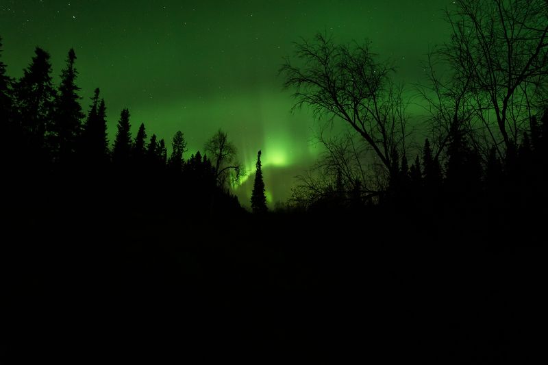 печора, северное сияние, коми Сияние в ночиphoto preview