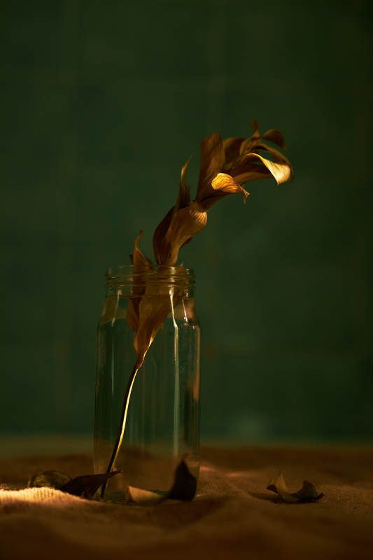 Банка, вода, желтый, свет photo preview