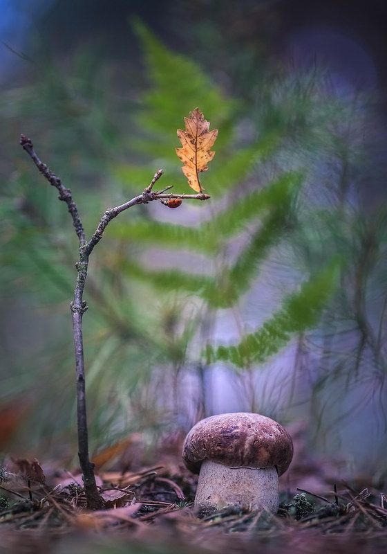 Я как осенний лист...photo preview