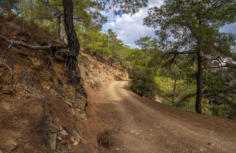 Через горыphoto preview