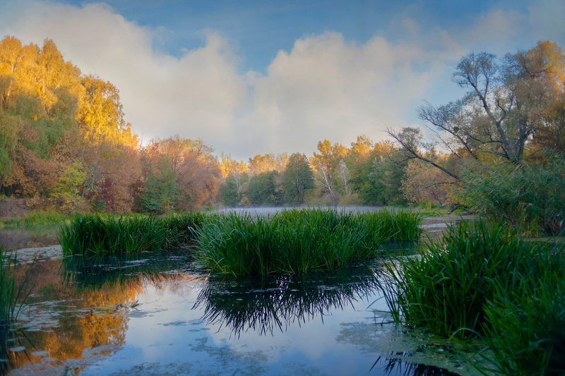 осень, река, берег, пейзаж Пейзаж как состояние души ...photo preview