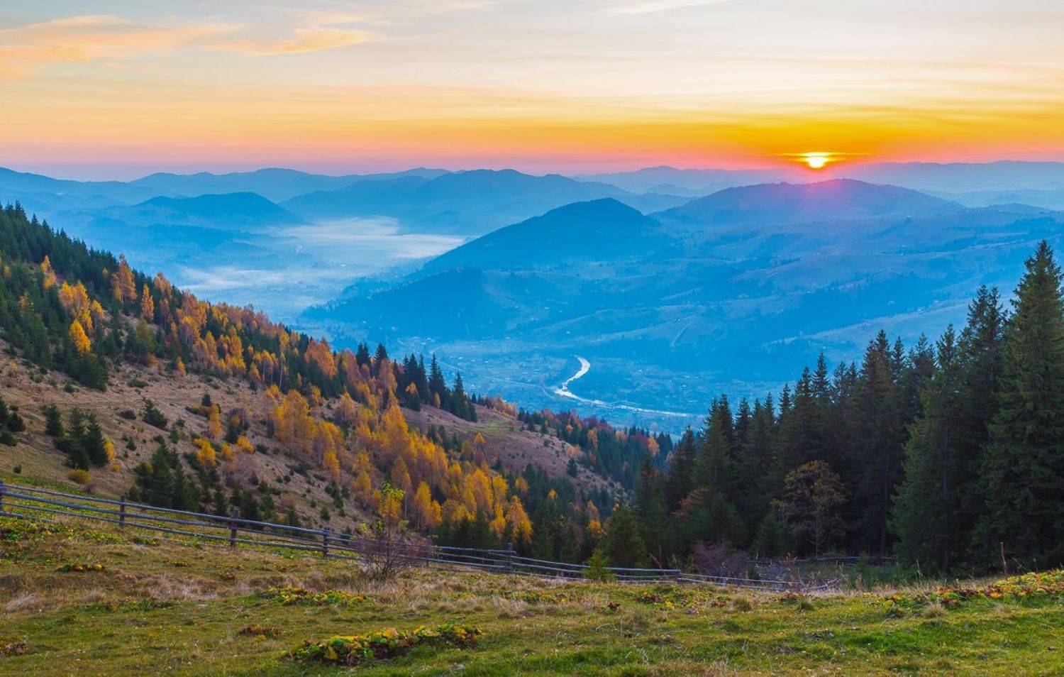 , Александр Подрез