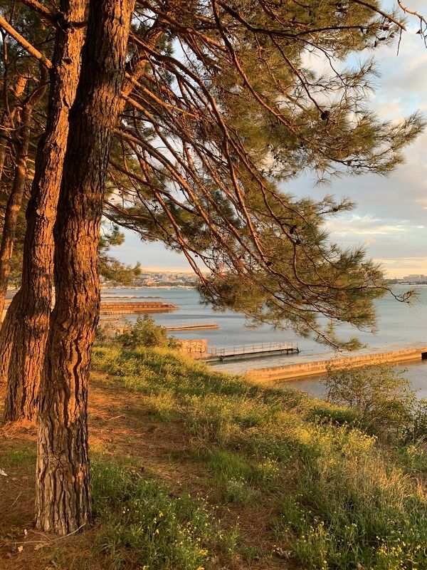 Вечерняя набережнаяphoto preview